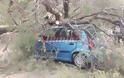 Σοκ για Πατρινή στην Πλαζ - Έλιωσε το αυτοκίνητό της ένα τεράστιο δέντρο δευτερόλεπτα αφού είχε απομακρυνθεί - Φωτογραφία 4