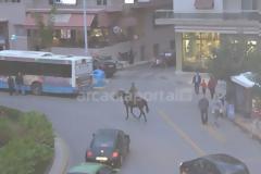 Έβγαλε βόλτα το άλογο στο κέντρο της Τρίπολης [photo]