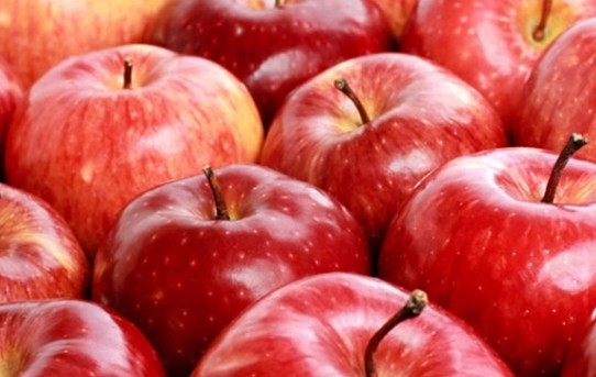 Μήλα: 5 οφέλη για την υγεία - Φωτογραφία 1