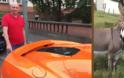 Πεινασμένος γάιδαρος πέρασε μια πορτοκαλί McLaren για καρότο - Φωτογραφία 1