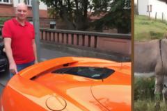 Πεινασμένος γάιδαρος πέρασε μια πορτοκαλί McLaren για καρότο