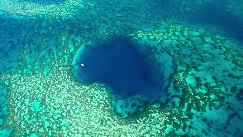 Υπάρχει παράδεισος: Ανακάλυψαν «μπλε τρύπα», αλλά δεν θέλουν να ξέρουμε τις συντεταγμένες της - Φωτογραφία 1