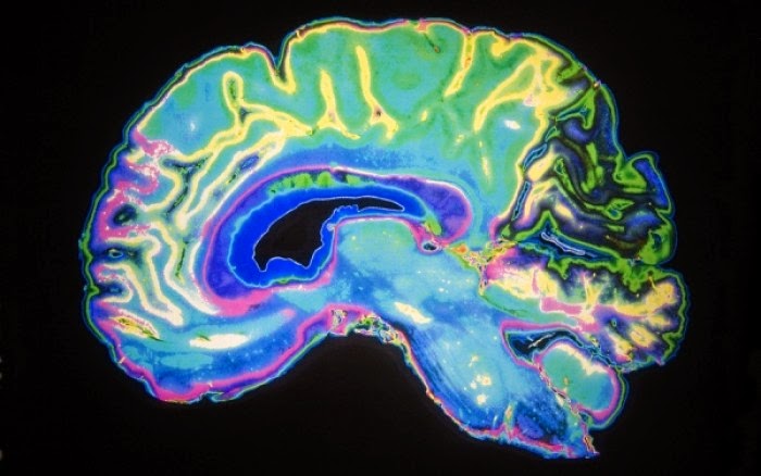 Τι συμβαίνει στον εγκέφαλο ενός ατόμου με κατάθλιψη; [video] - Φωτογραφία 1
