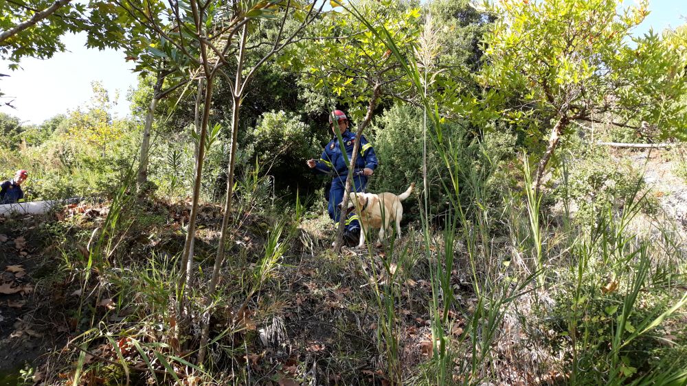 Λαμία: Επιχείρηση διάσωσης σε φαράγγι του Γοργοποτάμου - Εντυπωσιακές εικόνες - Φωτογραφία 6