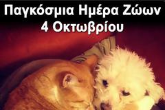 4 Οκτωβρίου – Παγκόσμια ημέρα ζώων