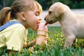 Τα ζώα συμβάλλουν στην υγεία, στην αντιμετώπιση της υπέρτασης, του άγχους, της μοναξιάς, της κατάθλιψης - Φωτογραφία 3