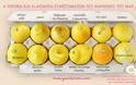 Η φωτογραφία με τα λεμόνια που μπορεί να σώσει χιλιάδες ζωές γυναικών - Φωτογραφία 2