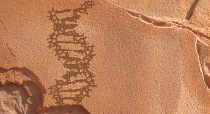 H πρώτη Μονάδα Ανάλυσης Αρχαίου DNA στην Ελλάδα - Φωτογραφία 1