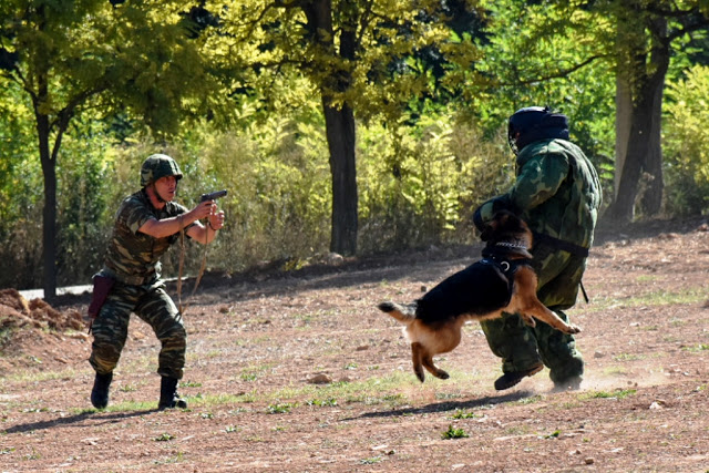 Επίσκεψη Αρχηγού ΓΕΣ στην Περιοχή Ευθύνης της 9ης Μηχανοποιημένης Ταξιαρχίας Πεζικού - Φωτογραφία 9