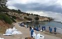 Δύο εθελόντριες από τη Βαλένθια καθαρίζουν τη θάλασσα στη Σαλαμίνα - Φωτογραφία 5