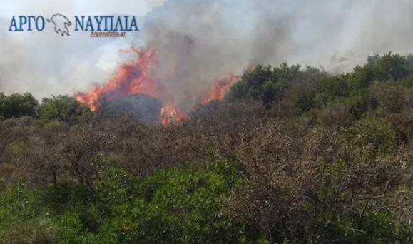 Φωτιά δίπλα σε πεδίο βολής στα Πυργιώτικα Αργολίδας – Επίγειες και αεροπλάνα απεσόβησαν τον κίνδυνο - Φωτογραφία 2