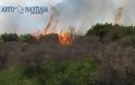 Φωτιά δίπλα σε πεδίο βολής στα Πυργιώτικα Αργολίδας – Επίγειες και αεροπλάνα απεσόβησαν τον κίνδυνο - Φωτογραφία 1