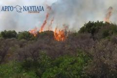Φωτιά δίπλα σε πεδίο βολής στα Πυργιώτικα Αργολίδας – Επίγειες και αεροπλάνα απεσόβησαν τον κίνδυνο