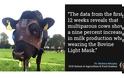 Ιρλανδία: Αγελάδες παράγουν περισσότερο γάλα φορώντας… μάσκα! - Φωτογραφία 2