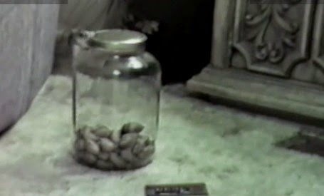 Έξυπνο ποντίκι κλέβει τροφή από κλειστό βάζο [Video] - Φωτογραφία 1