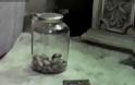 Έξυπνο ποντίκι κλέβει τροφή από κλειστό βάζο [Video]