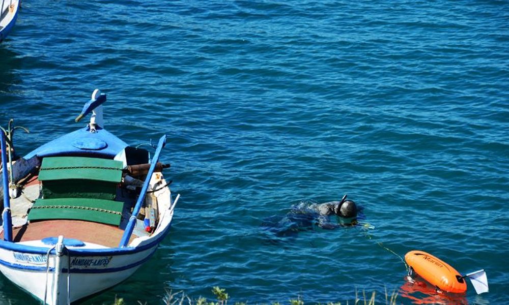 Ψάρεψαν γιγάντιο καρχαρία «αλέτρι» στον Αστακό [photo] - Φωτογραφία 1