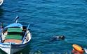 Ψάρεψαν γιγάντιο καρχαρία «αλέτρι» στον Αστακό [photo]