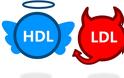Καλή χοληστερίνη (HDL): Πώς αυξάνεται – Όρια για άντρες και γυναίκες