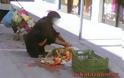 Εικόνες - γροθιά: Μητέρα και κόρη μαζεύουν πεταμένα τρόφιμα στη λαϊκή [photos] - Φωτογραφία 1