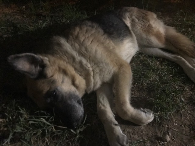 Αντίο Ήρα... - Φωτογραφία 2