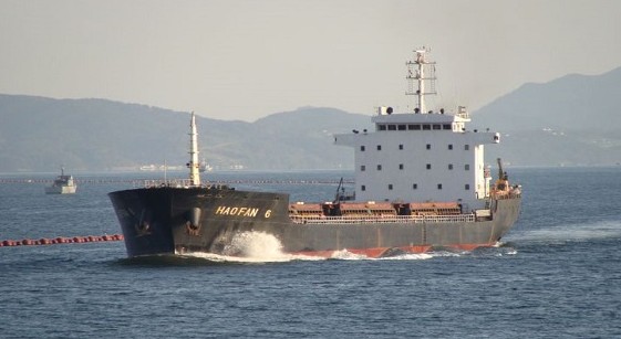 OHE: Επιβολή κυρώσεων σε τέσσερα φορτηγά πλοία - Φωτογραφία 1