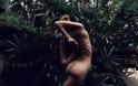 Το γυμνό μοντέλο που κάνει yoga και «ρίχνει» το Instagram - Φωτογραφία 3