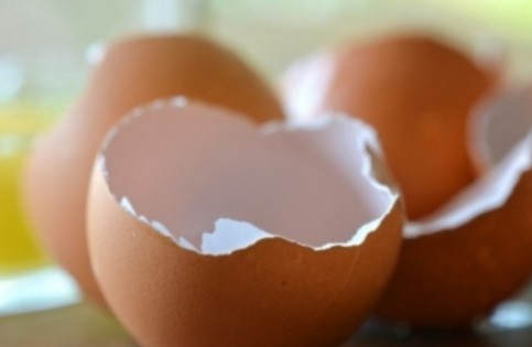 Δύο εναλλακτικοί τρόποι να χρησιμοποιήσετε τα τσόφλια αυγών - Φωτογραφία 1
