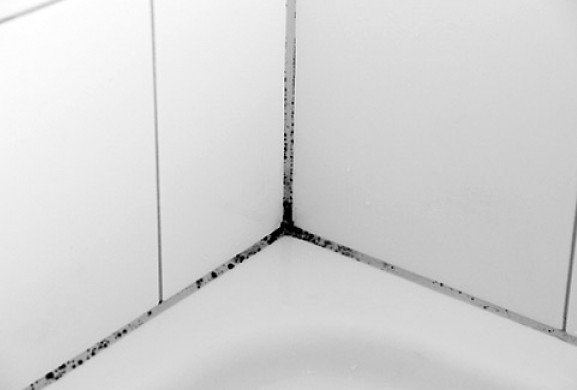 Αποκτήστε πεντακάθαρα πλακάκια μπάνιου με το πιο ανέξοδο tip! - Φωτογραφία 1