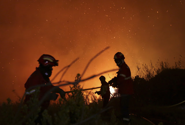 Πύρινη κόλαση στην Πορτογαλία: Ξέσπασαν 440 πυρκαγιές σε 24 ώρες -3 νεκροί - Φωτογραφία 3