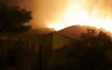 Πύρινη κόλαση στην Πορτογαλία: Ξέσπασαν 440 πυρκαγιές σε 24 ώρες -3 νεκροί - Φωτογραφία 5