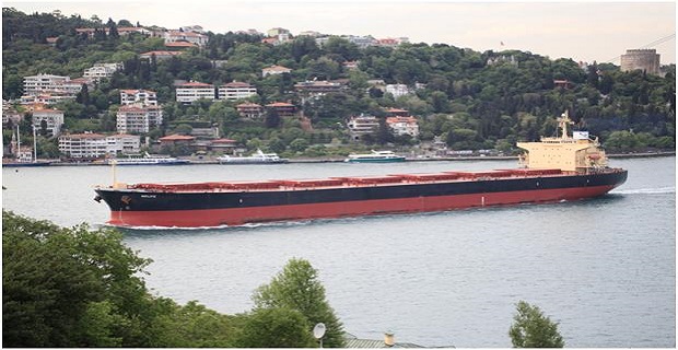 Η Diana Shipping στέλνει για διάλυση το προσαραγμένο Panamax της - Φωτογραφία 1