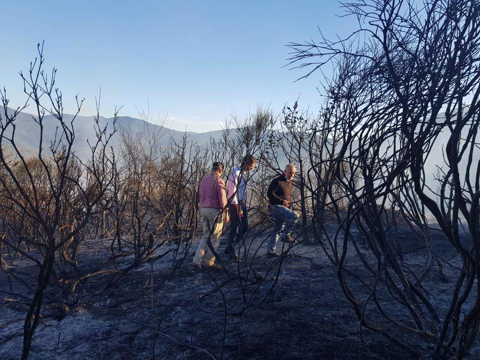Υπό έλεγχο η φωτιά στο Καρπενήσι - «Μας περιμένει δύσκολη νύχτα», λέει ο Μπακογιάννης [photos+video] - Φωτογραφία 2