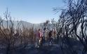 Υπό έλεγχο η φωτιά στο Καρπενήσι - «Μας περιμένει δύσκολη νύχτα», λέει ο Μπακογιάννης [photos+video] - Φωτογραφία 2