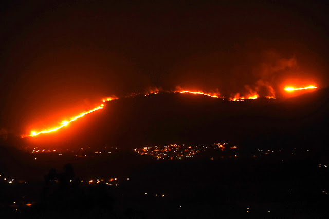 Τριήμερο εθνικό πένθος στην Πορτογαλία: Τουλάχιστον 39 νεκροί από τις φονικές πυρκαγιές - Φωτογραφία 2