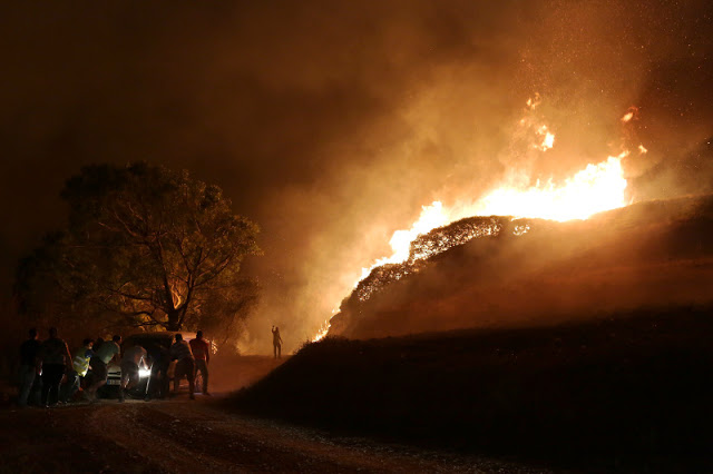 Τριήμερο εθνικό πένθος στην Πορτογαλία: Τουλάχιστον 39 νεκροί από τις φονικές πυρκαγιές - Φωτογραφία 3