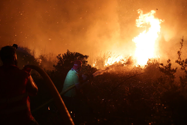 Τριήμερο εθνικό πένθος στην Πορτογαλία: Τουλάχιστον 39 νεκροί από τις φονικές πυρκαγιές - Φωτογραφία 6