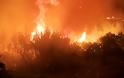 Τριήμερο εθνικό πένθος στην Πορτογαλία: Τουλάχιστον 39 νεκροί από τις φονικές πυρκαγιές - Φωτογραφία 5