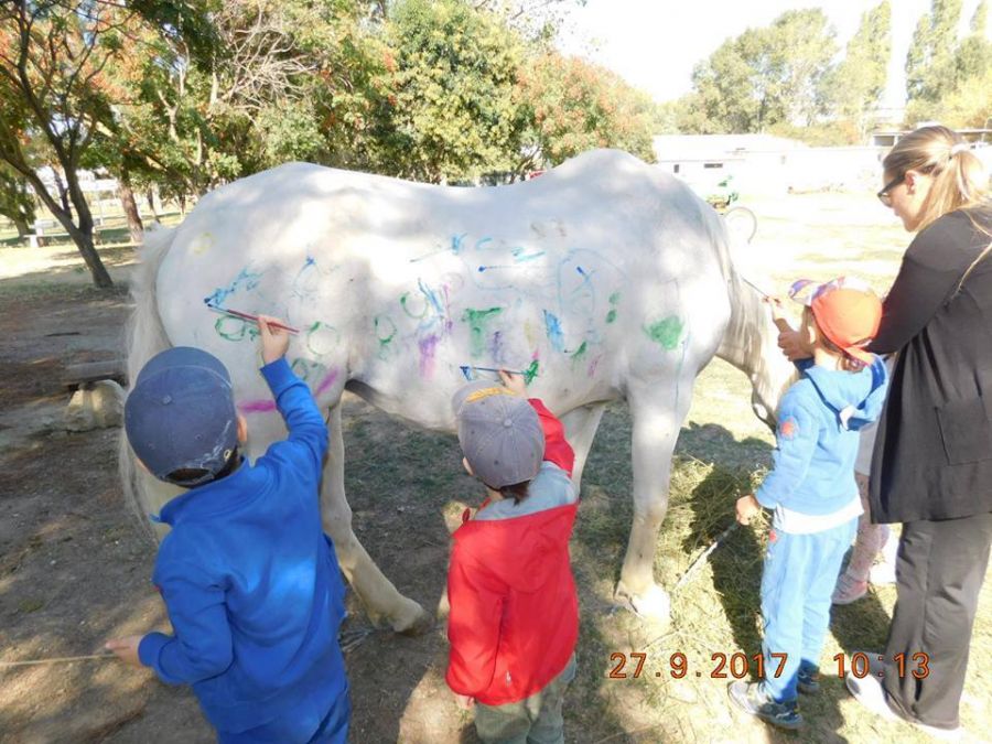 Θύελλα αντιδράσεων για πρόγραμμα ζωγραφικής σε άλογα από παιδικό σταθμό της Θεσσαλονίκης - Φωτογραφία 1