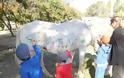 Θύελλα αντιδράσεων για πρόγραμμα ζωγραφικής σε άλογα από παιδικό σταθμό της Θεσσαλονίκης