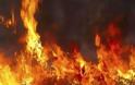 Φωτιά σε δασική έκταση στην περιοχή Νεμούτα της Ηλείας