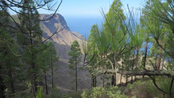 Gran Canaria, μια «ήπειρος» σε μικρογραφία! [photos] - Φωτογραφία 14