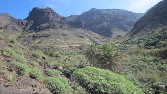 Gran Canaria, μια «ήπειρος» σε μικρογραφία! [photos] - Φωτογραφία 16
