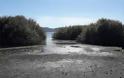 Φυσιολογική η απώλεια νερού στη λίμνη Καστοριάς