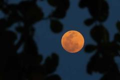 NASA: H Σελήνη είχε κάποτε ατμόσφαιρά και νερό