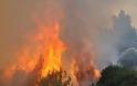 «Καίει» το πόρισμα για τις φωτιές στη Ζάκυνθο