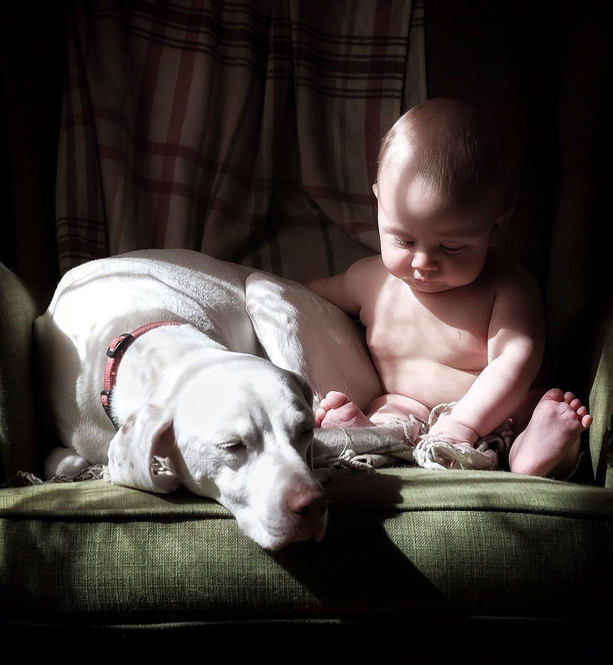 Κακοποιημένο σκυλάκι φοβάται τους πάντες εκτός από ένα μωρό - Φωτογραφία 6