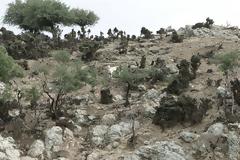 Η υπενθύμιση της Σαμοθράκης