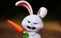 Bad Rabbit: Το κακόβουλο Not-Petya επέστρεψε με βελτιωμένες λειτουργίες ransomware