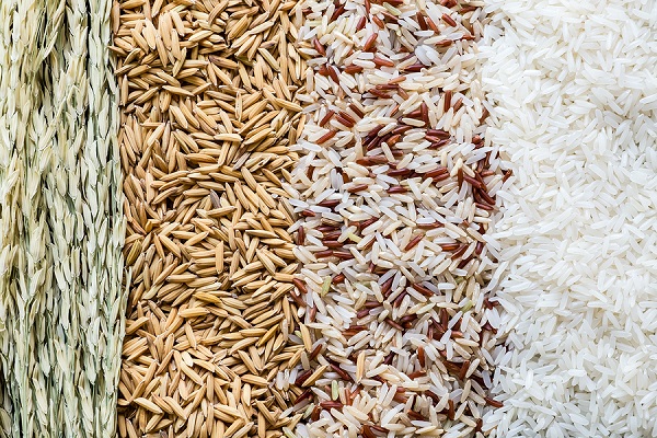 Λευκό vs καστανό ρύζι: Ποιες οι διαφορές στη διατροφική τους αξία - Φωτογραφία 2